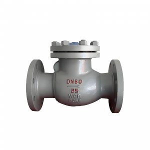 DN50 PN25 介質(zhì)：甲胺，溫度：80℃止回閥